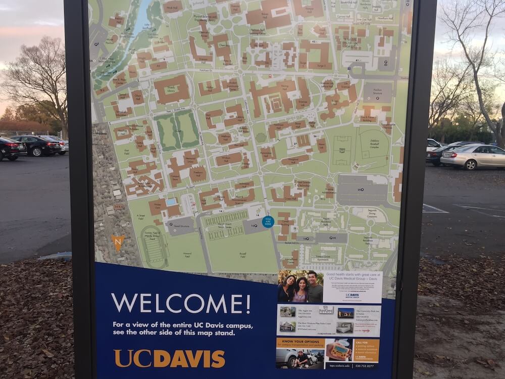 How to be Homeless around UC Davis